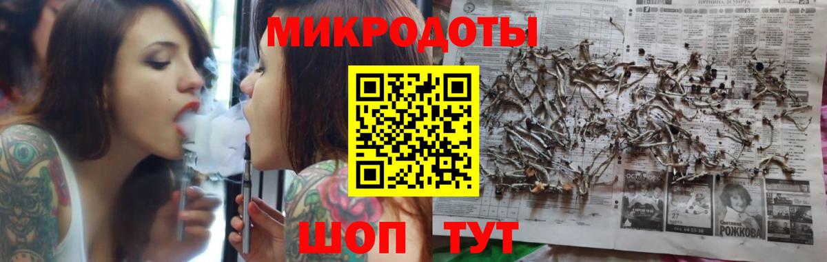 Сунжа  Псилоцибиновые грибы Cubensis  Вход с VPN 